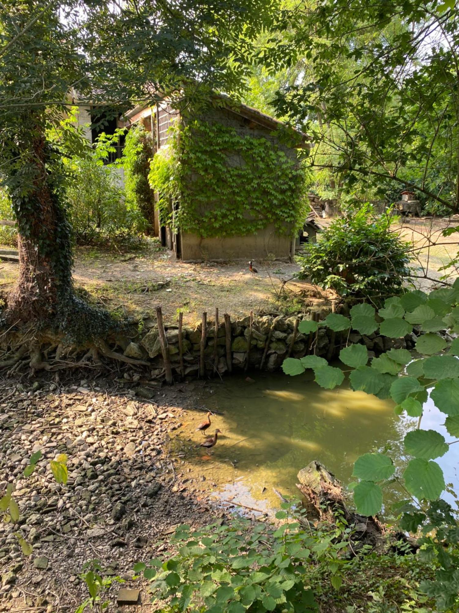 La Seigneurie De Tillac 外观 照片
